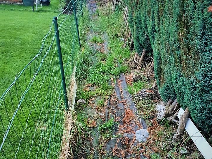 Vert Dendro Concept  Jardinier Élagueur à Montigny-le-Tilleul, Gerpinnes,  Charleroi